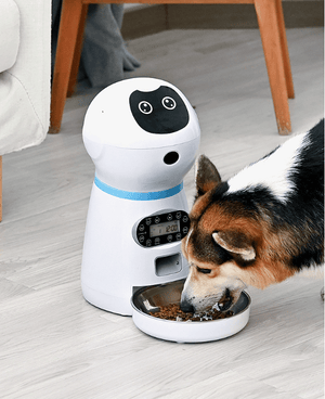 "PawsomeFeed" - Automatic Pet Feeder