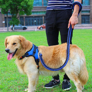 Ultimate No-Tug Dog Harness