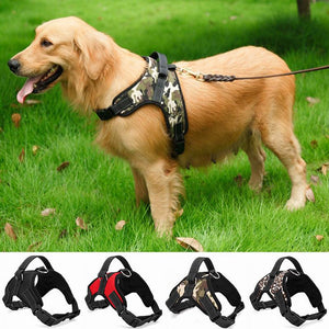 CuddleMutt™ "Pile On" Dog Collar Set