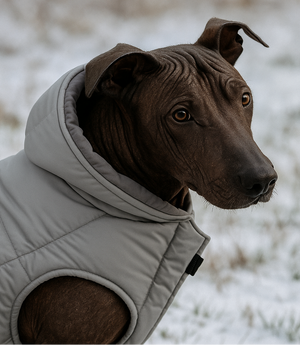 CuddleMutt™ Jackson Dog Jacket
