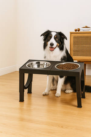 FeastMate™ Raised Dog Bowl Stand