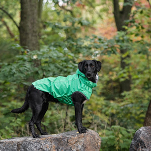 RainRevo™ Reversible Dog Raincoat