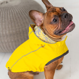CuddleMutt™ Reversible Elasto-Fit Raincoat – Waterproof Yellow Dog Jacket with Hood