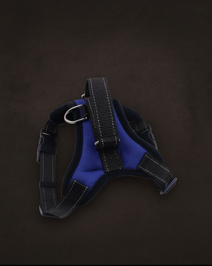 Pawsome Reflective Dog Harness: Comfortable, Adjustable, And Stylish