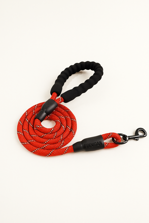 Night-Safe Reflective Dog Leash