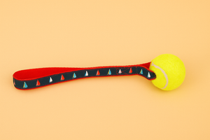 SailFetch™ Tennis Ball Toss Toy