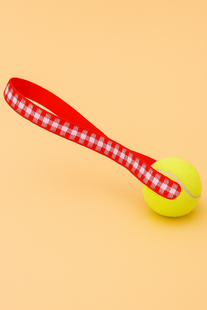 PicnicPlaid™ Red Tennis Ball Toss Toy
