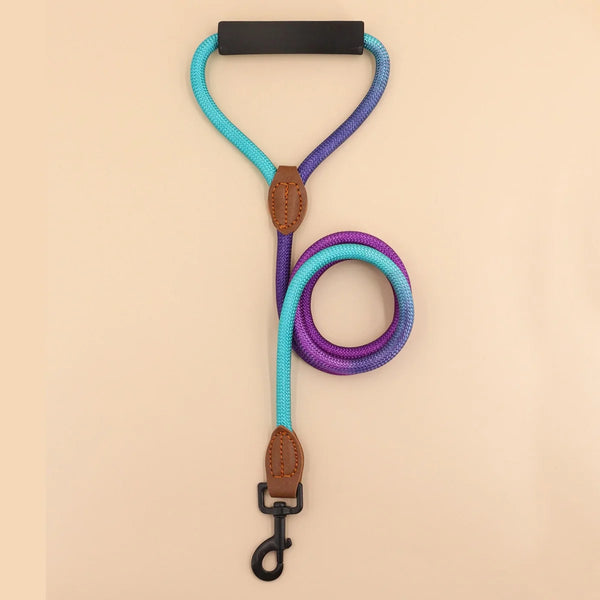 CuddleMutt Gradient Comfort Leash