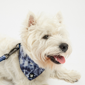 CuddleMutt™ Poplin Dog Bandana Collar