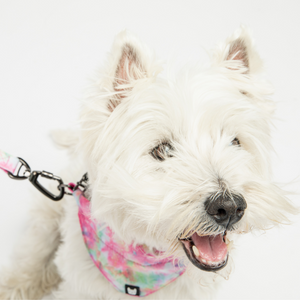 CuddleMutt™ Pink Tie-Dye Dog Bandana Collar