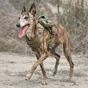 AdventurePro™ Dog Harness