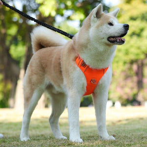 CuddleMutt™ Soft Adjustable Dog Harness – No-Pull Comfort Vest for Small to Large Dogs
